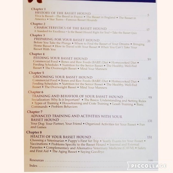 THE BASSET HOUND Book With Training DVD - Picture 6 of 6